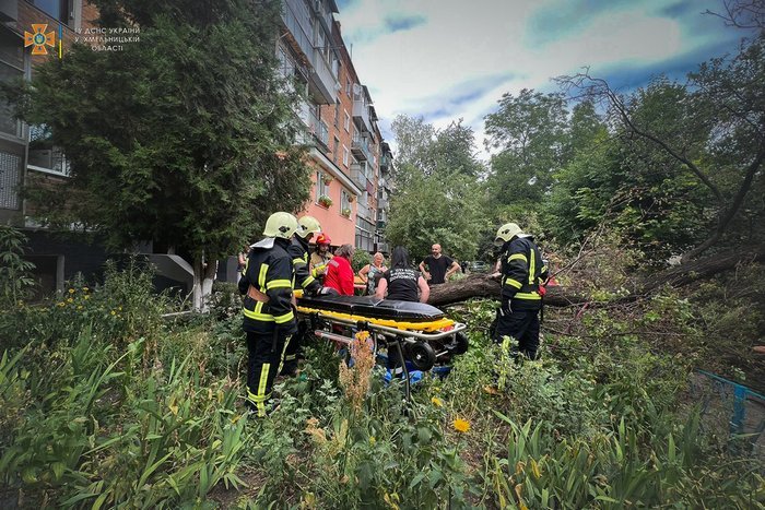 У Кам'янці-Подільському дерево впало на жінку