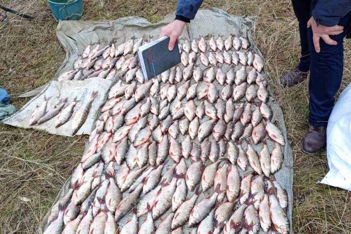 Браконьєри на Кам’янеччині завдали понад 300 тисяч гривень збитків