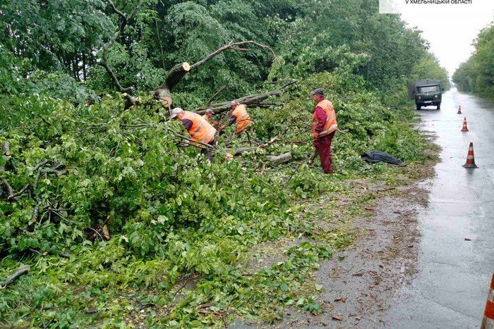 Дороги на Кам'янеччині звільнили від повалених негодою дерев