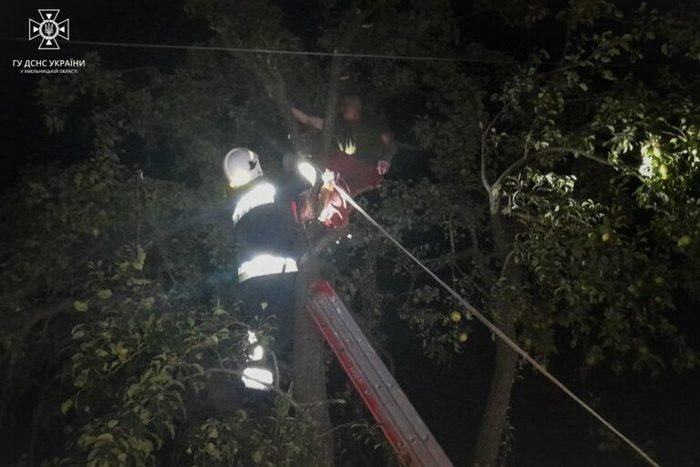 На Кам’янеччині чоловік застряг на дереві