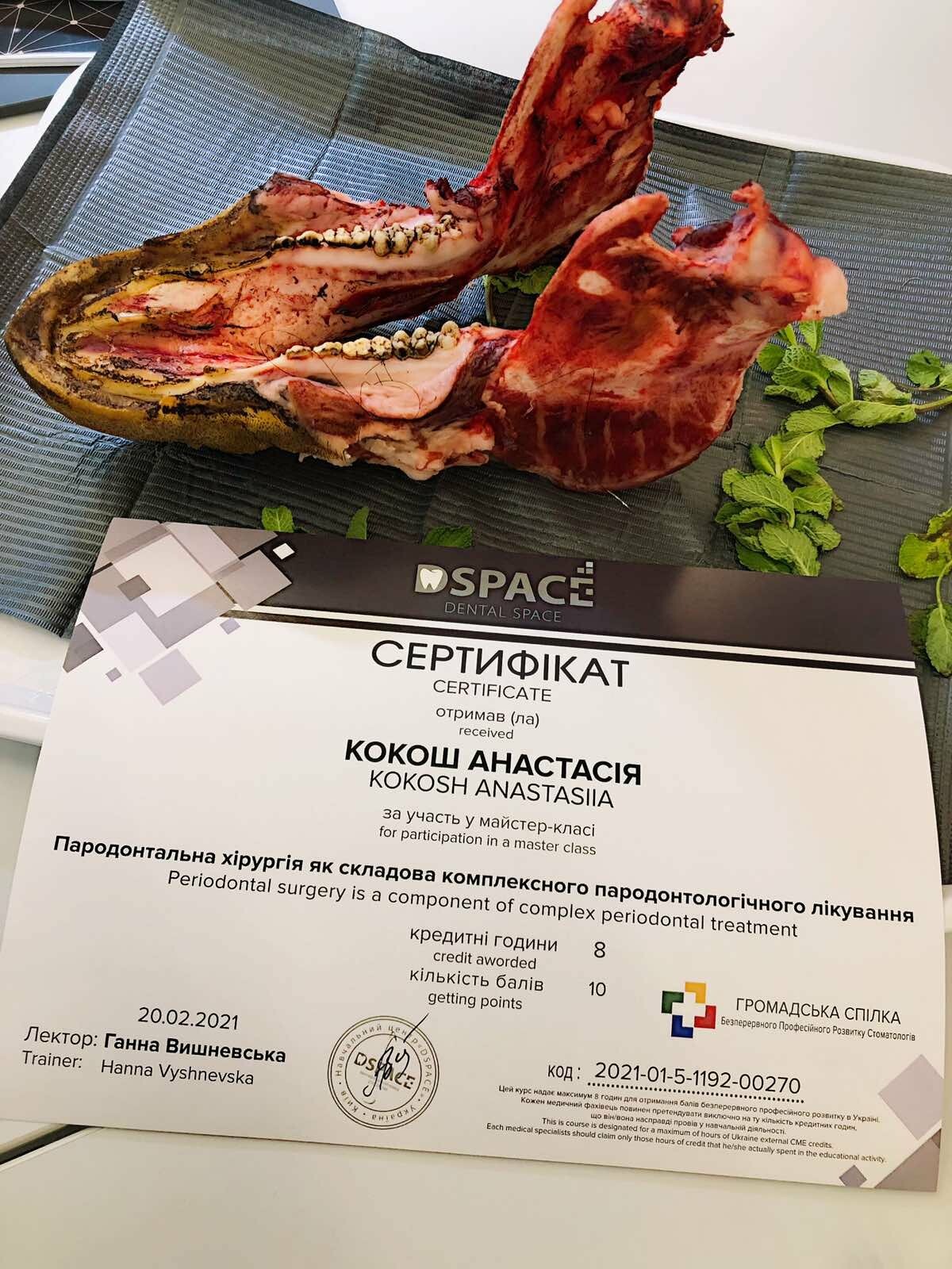 Сертифікати Анастасії Кокош