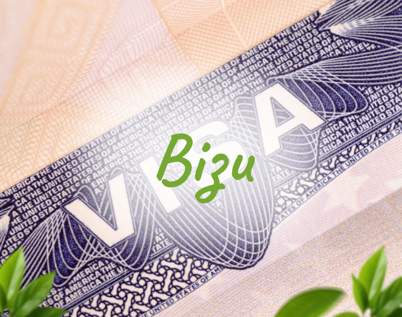 Візи