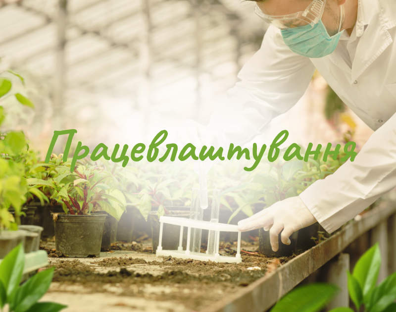 Працевлаштування