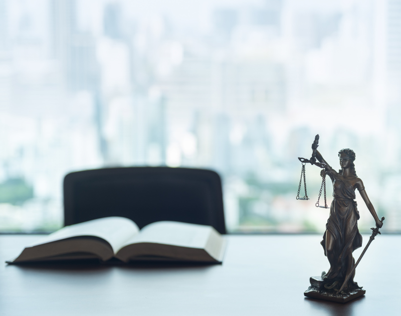 Представництво інтересів у суді