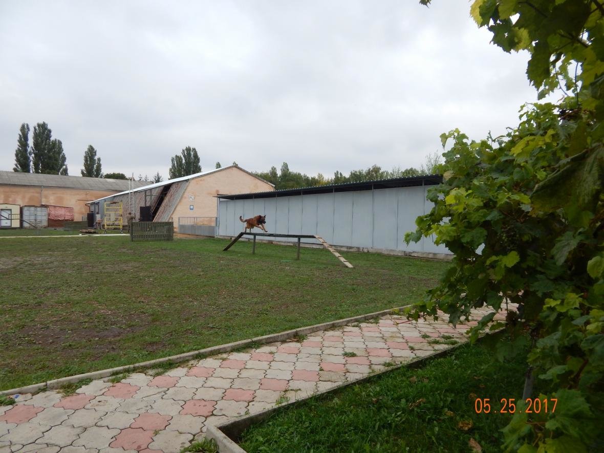 ЗОШ №15 у гостях у військовийх Центру розмінування, фото-7 ЗОШ №15 у гостях у військовийх Центру розмінування, фото-7
