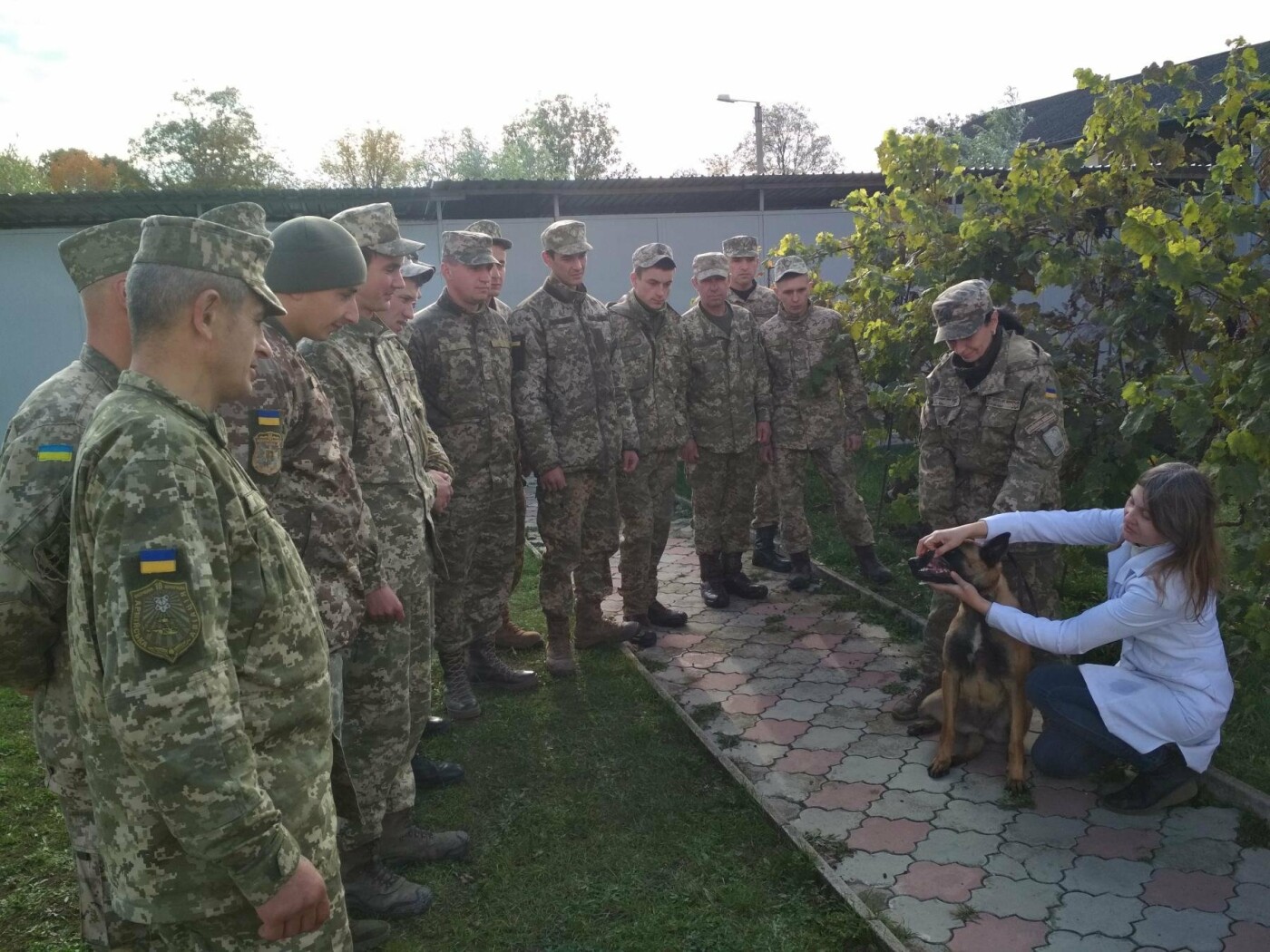 В Центрі розмінуванні завершився курс підготовки фахівців..., фото-3 В Центрі розмінуванні завершився курс підготовки фахівців за спеціальністю «Кінолог», фото-3