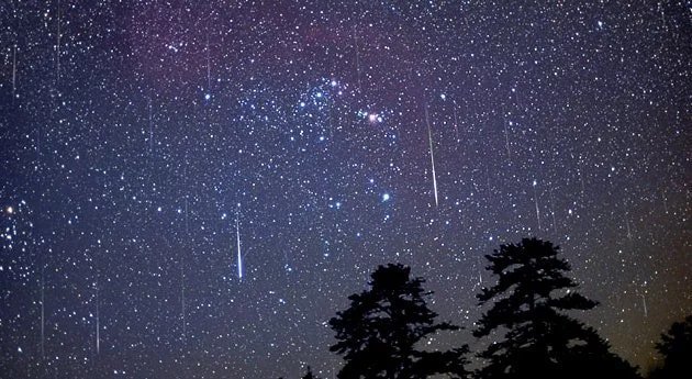 ТОП-7 новин тижня, які ви могли пропустити, фото-7 ТОП-7 новин тижня, які ви могли пропустити, фото-7