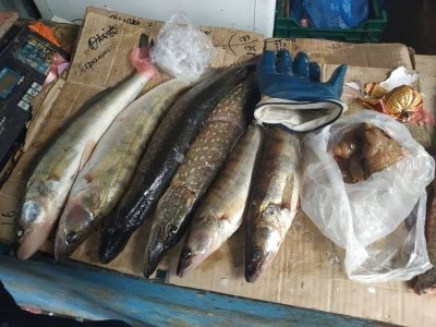 ТОП-7 новин тижня, які ви могли пропустити, фото-7 ТОП-7 новин тижня, які ви могли пропустити, фото-7
