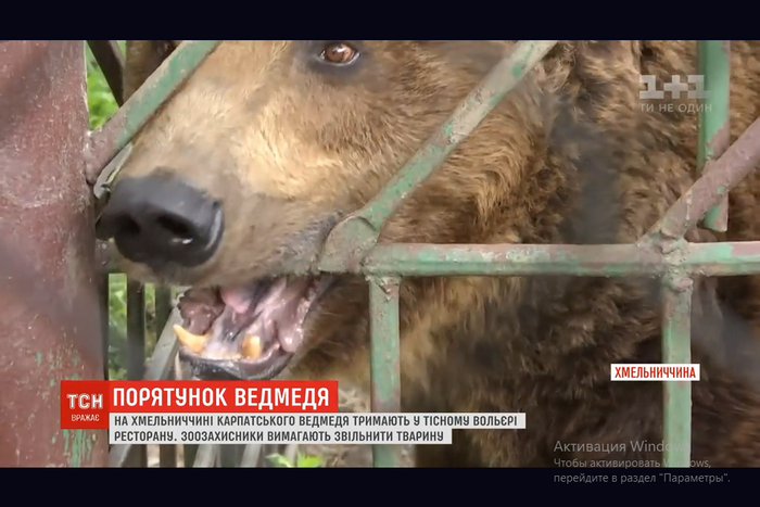 ТОП-7 новин тижня, які ви могли пропустити, фото-2 ТОП-7 новин тижня, які ви могли пропустити, фото-2