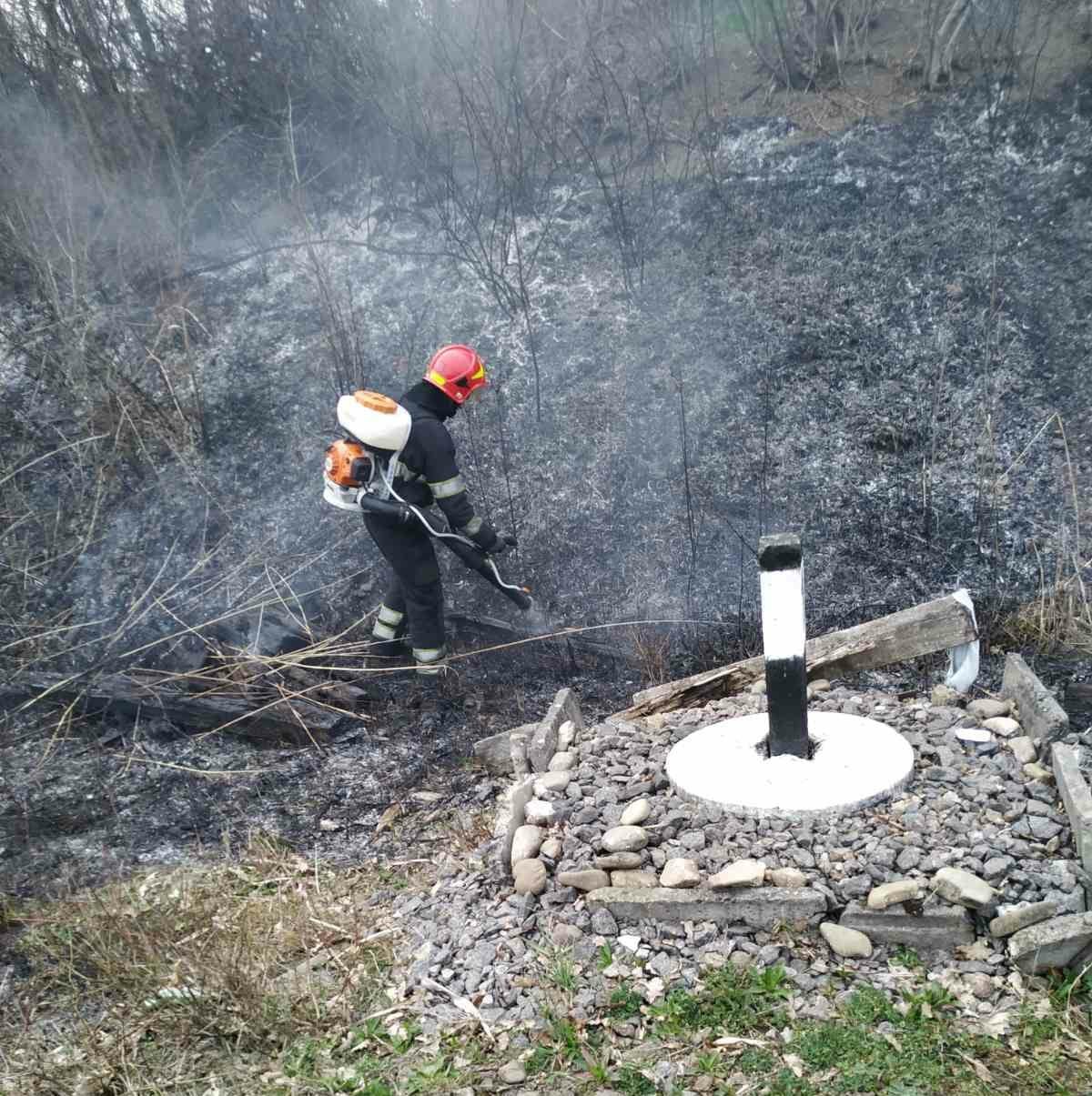 По вулиці Крип'якевича рятувальники ліквідовували загоряння сухої трави, фото-1