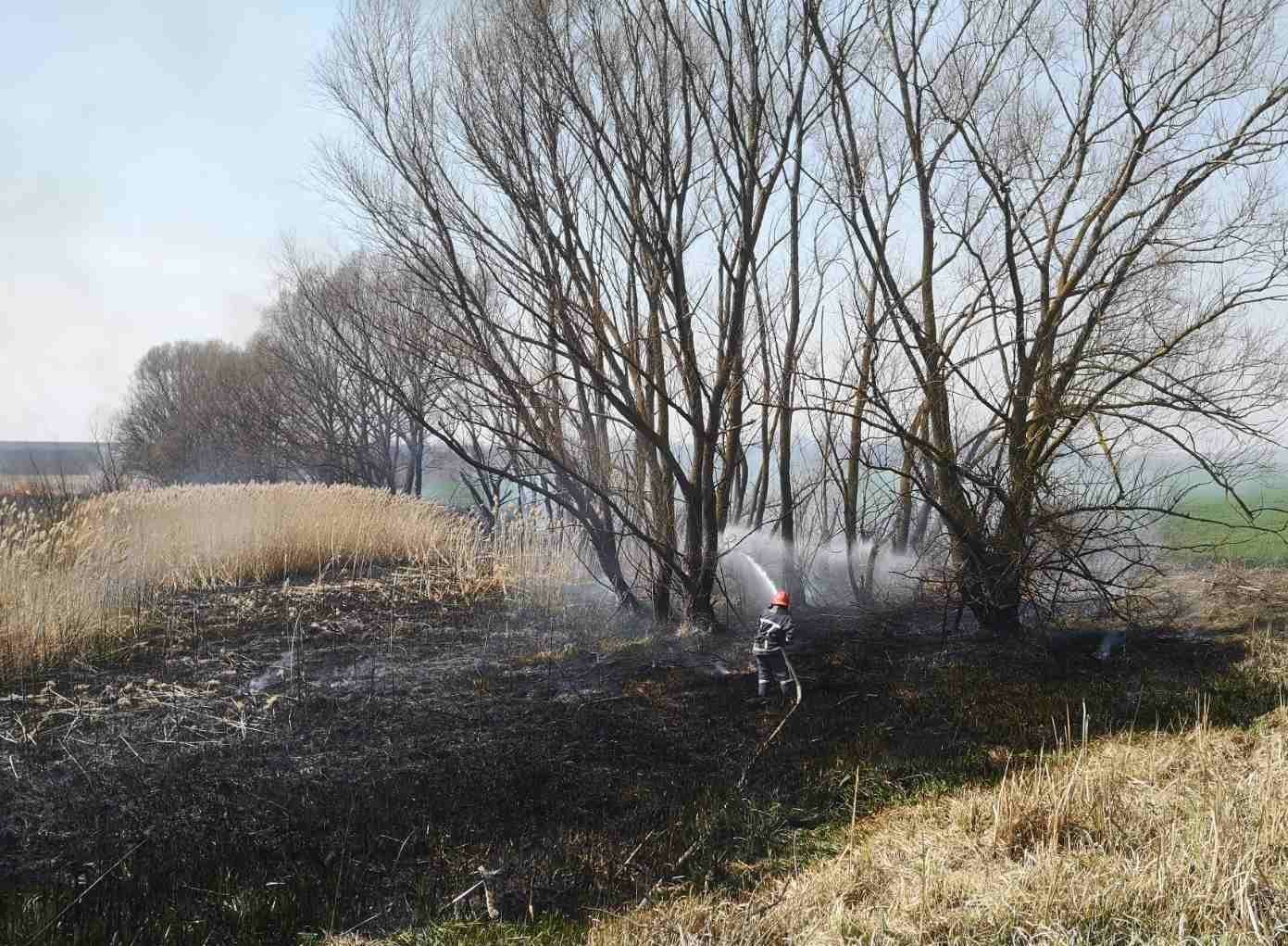На Кам'янеччині надзвичайники ліквідовували пожежу сухої трави, фото-3