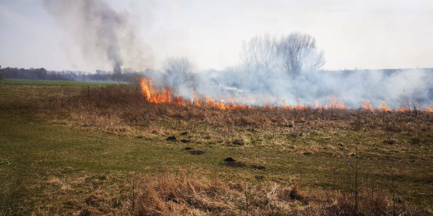 На Кам'янеччині надзвичайники ліквідовували пожежу сухої трави, фото-1