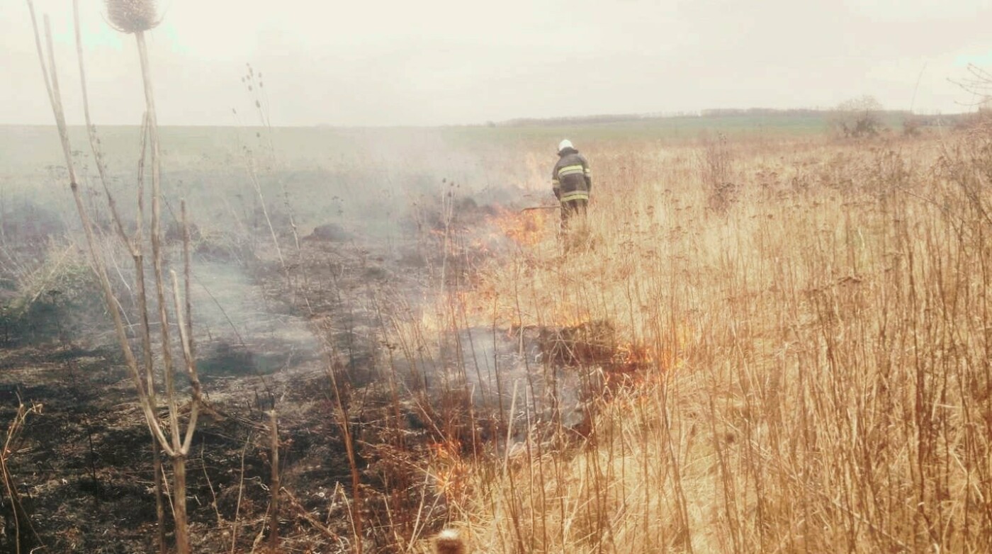 На Кам'янеччині ДСНСівці ліквідували пожежу сухої трави, фото-1