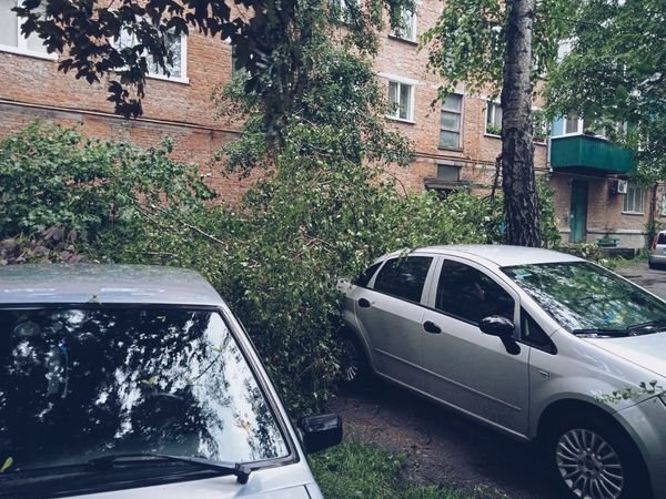 Наслідки негода на Кам'янеччині, Фото: Кам’янець-Подільське районне управління ГУ ДСНС.