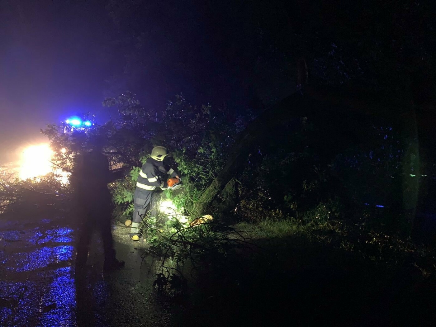 На Кам'янеччині на проїджу частину дорогу впало дерево , фото-1, Фото: пресслужба порятунку 101 Кам'янця-Подільського
