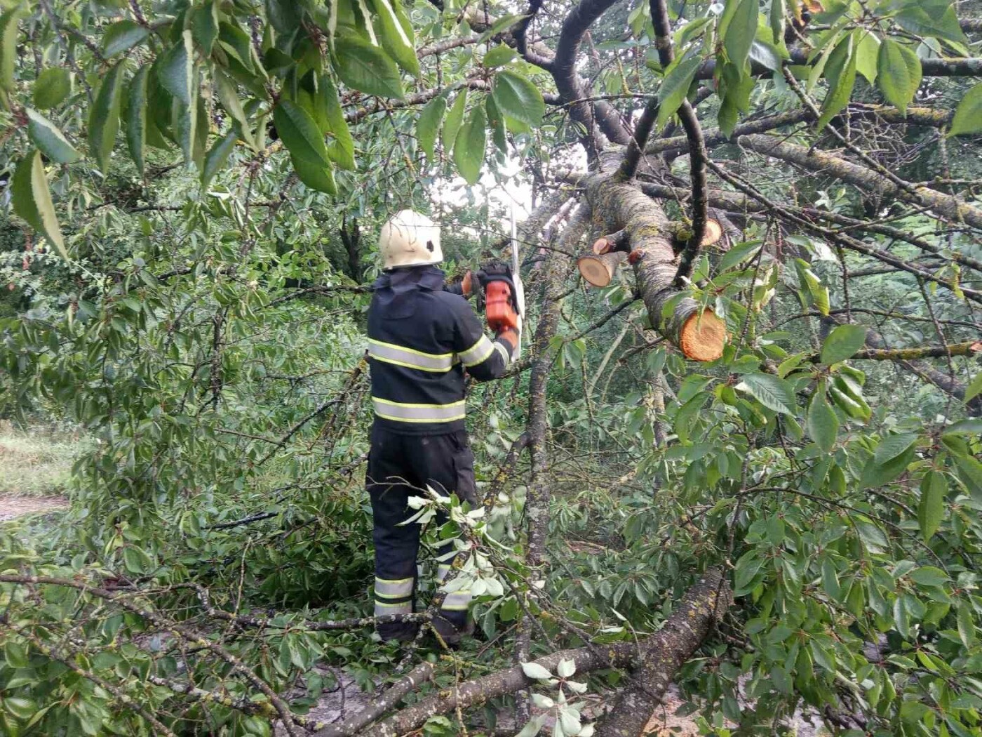 За межами села Оленівка рятувальники ліквідовували наслідки негоди, фото-1, Фото: пресслужба порятунку 101 Кам'янця-Подільського