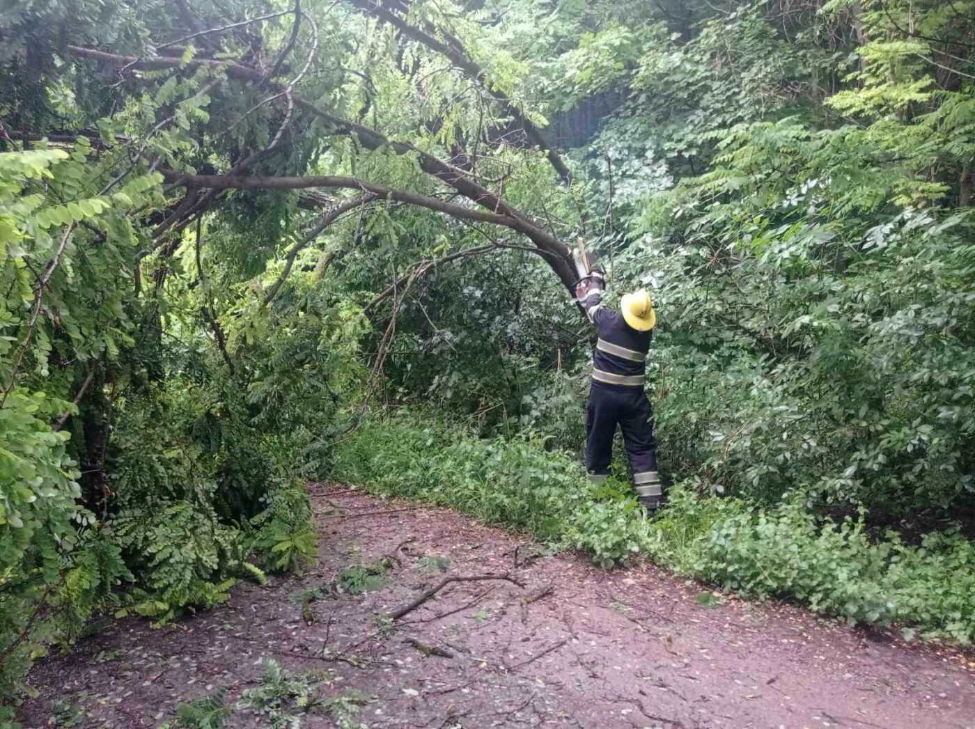 На Кам'янеччині рятувальники ліквідовували наслідки негоди, фото-1, Фото: пресслужба порятунку 101 Кам'янця-Подільського