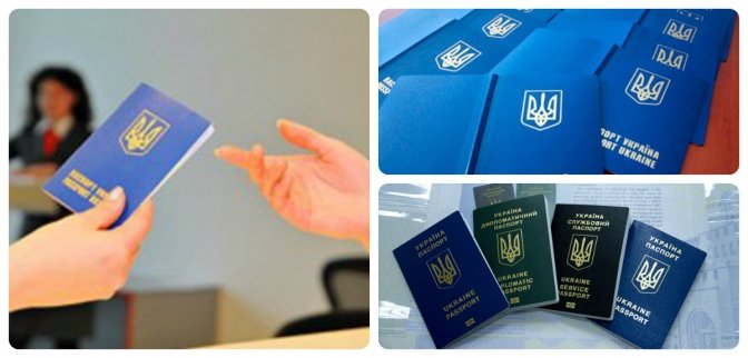 Причини затримки видачі закордонних паспортів Причини затримки видачі закордонних паспортів, Мар'яна Васильчук