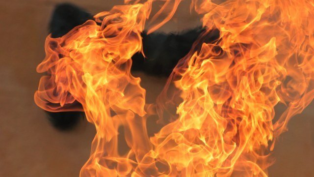 Ð ÐµÐ·ÑÐ»ÑÑÐ°Ñ Ð¿Ð¾ÑÑÐºÑ Ð·Ð¾Ð±ÑÐ°Ð¶ÐµÐ½Ñ Ð·Ð° Ð·Ð°Ð¿Ð¸ÑÐ¾Ð¼ "Ð·Ð½Ð°Ð¹ÑÐ»Ð¸ ÑÑÐ»Ð¾ Ð¿Ð¾Ð¶ÐµÐ¶Ð°"