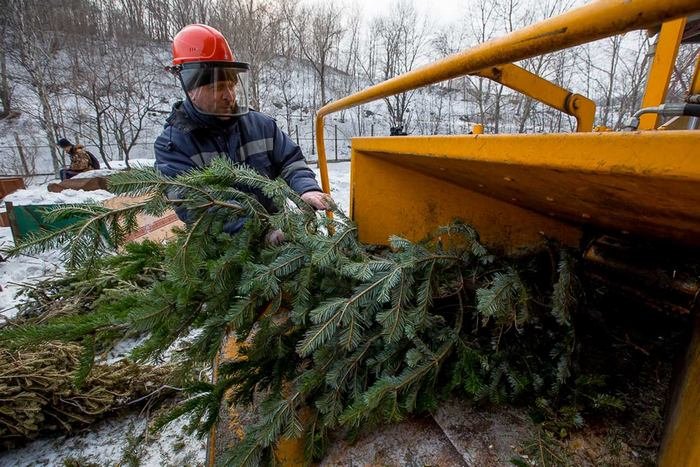 Де можна утилізувати ялинки у Кам'янці-Подільському?