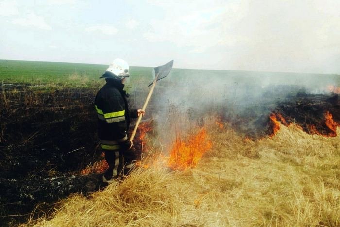 На Кам'янеччині ДСНСівці ліквідували пожежу сухої трави