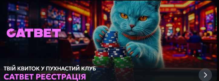 Як краще грати в автомати CAT BET казино: на гроші чи на бонуси? Як краще грати в автомати CAT BET казино: на гроші чи на бонуси?